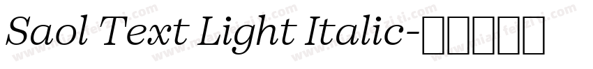 Saol Text Light Italic字体转换